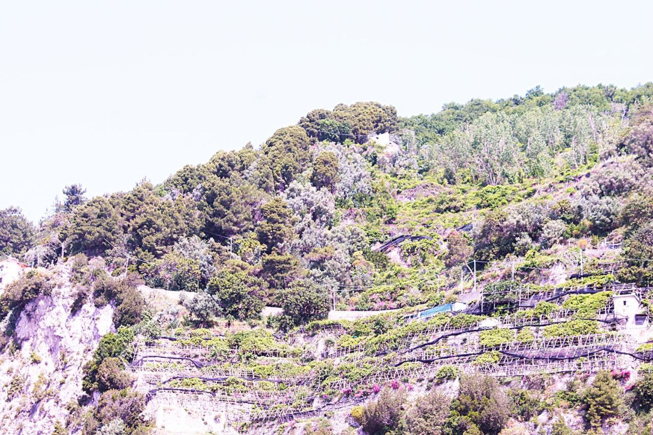 Casa Roro Villa Maiori Dış mekan fotoğraf